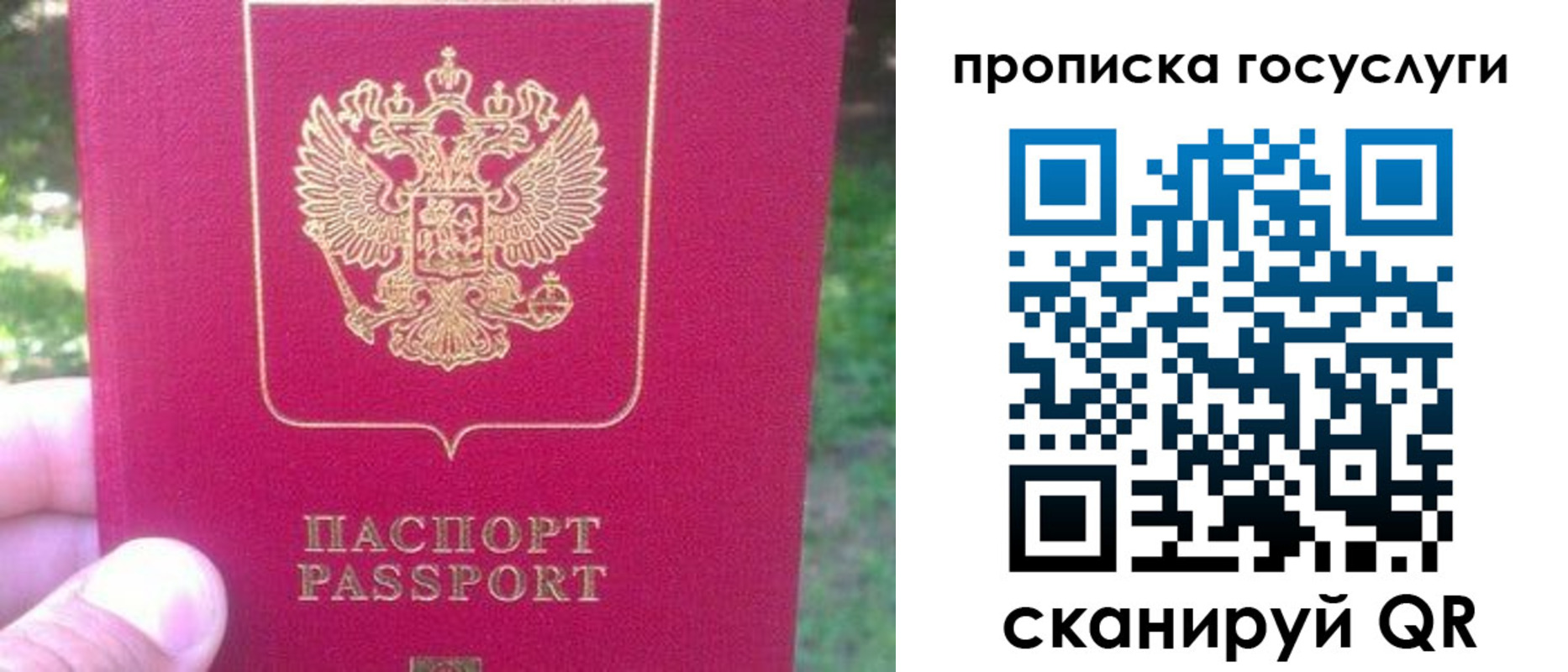 временная регистрация собственник в Луге